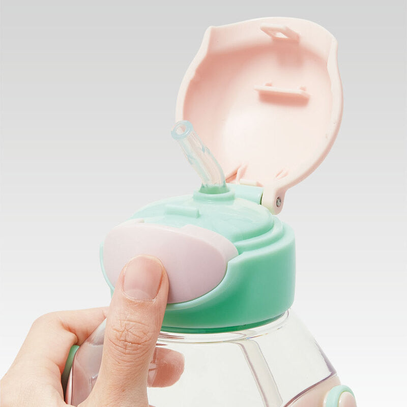 스케이터 디즈니 프린세스 캐릭터 원푸쉬 스트로 보틀 530ml PDSH6DX - 주방·식기 - 하카타몰