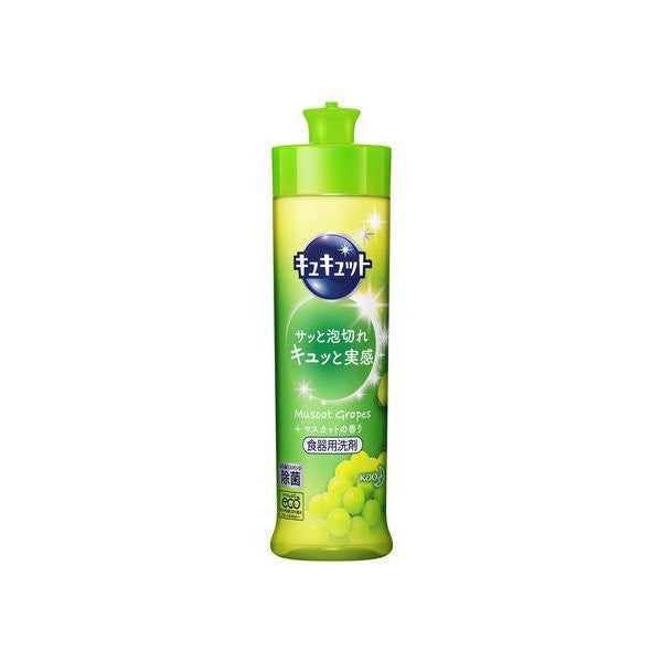 카오 큐큣토 주방세제 240ml / 370ml - 청소·세탁 - 하카타몰