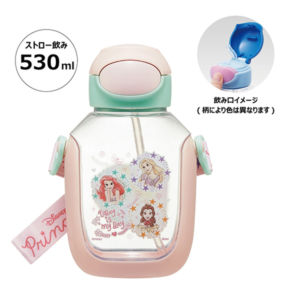 스케이터 디즈니 프린세스 캐릭터 원푸쉬 스트로 보틀 530ml PDSH6DX - 주방·식기 - 하카타몰