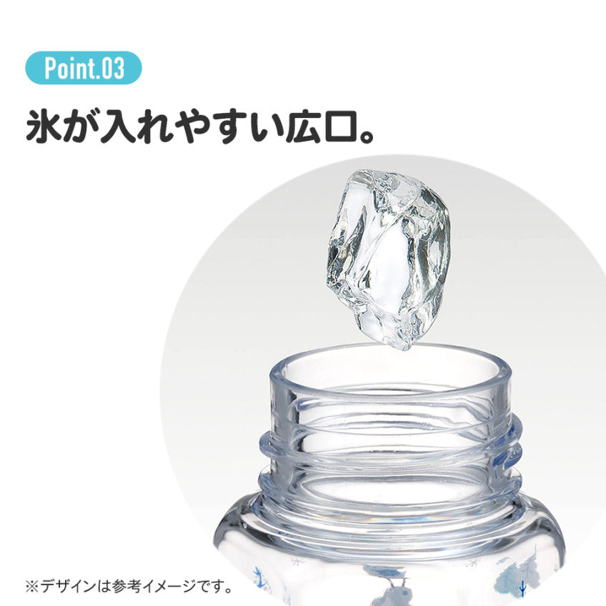 [발주상품 2~4 영업일 후 발송예정] 스케이터 포켓몬스터 캐릭터 육각 블로 보틀 250ml PDH3 - 주방·식기 - 하카타몰