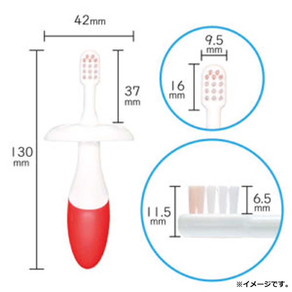 덴타룬 도톰그립 베이비 칫솔 6개월부터 그린·옐로 2개입 상세 이미지 4