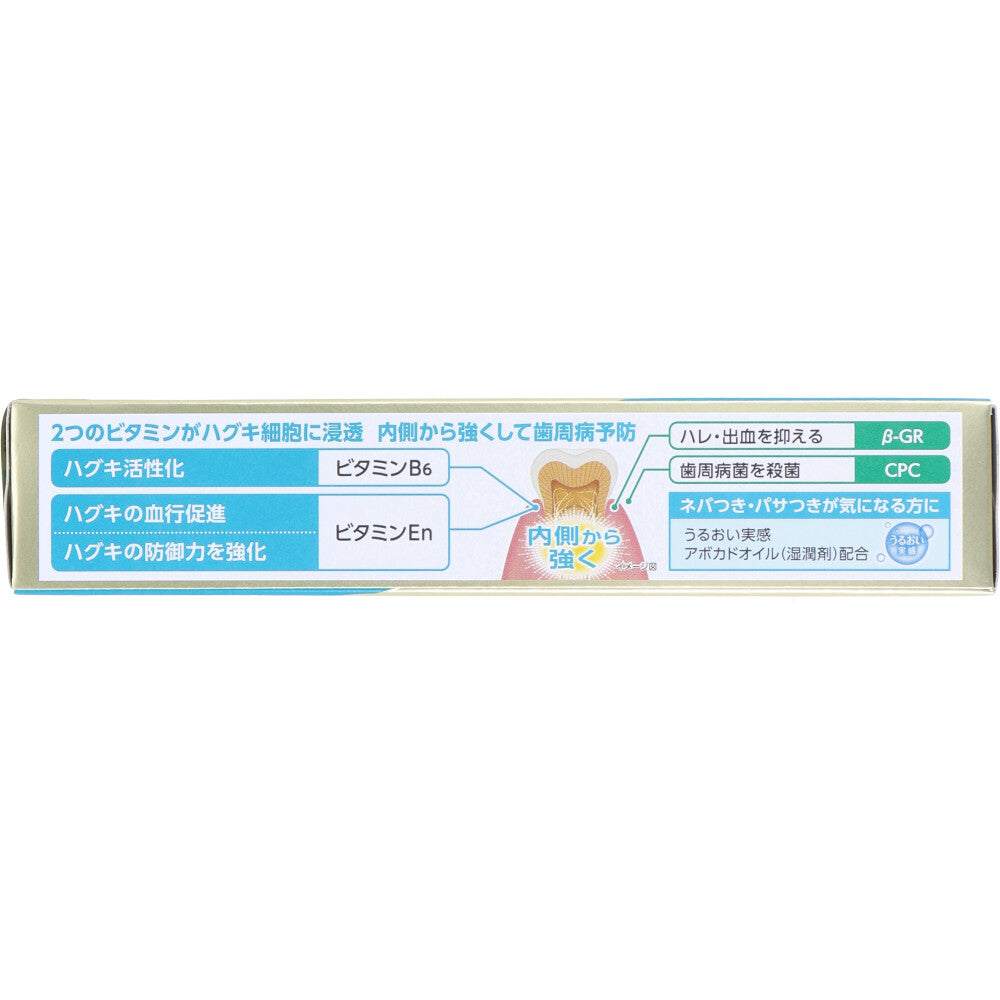 GUM 프리미엄 덴탈페이스트 잇몸케어 모이스처 85g 상세 이미지 1