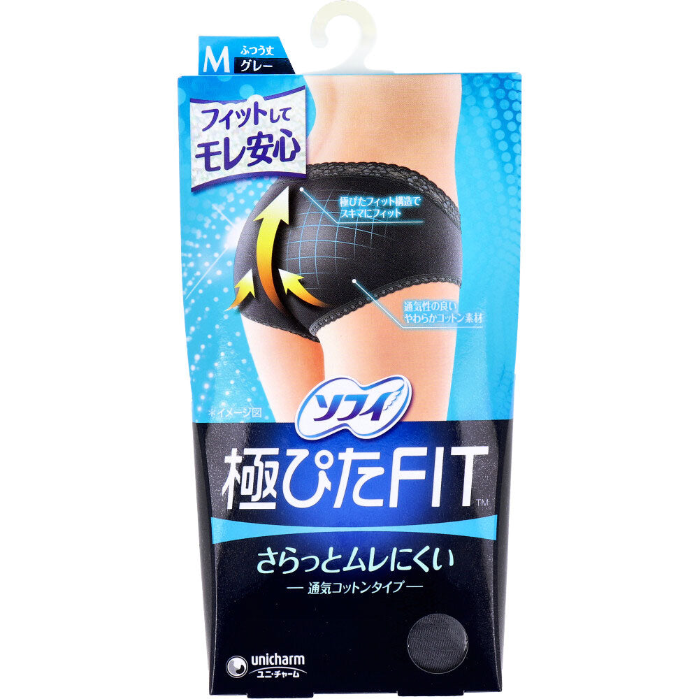 소피 극피타 FIT 통기 코튼 생리용 쇼츠 M 그레이