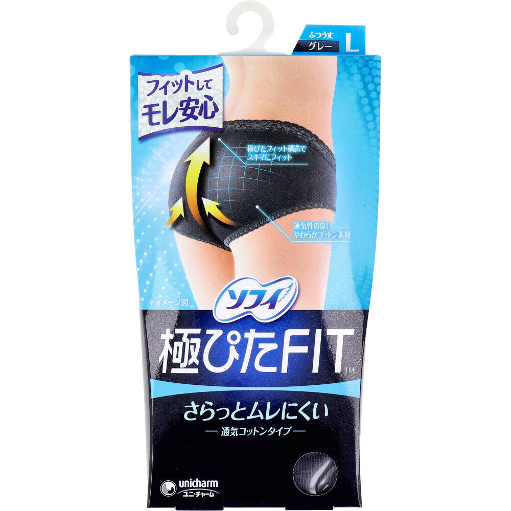 소피 극피타 FIT 통기 코튼 생리용 쇼츠 L 그레이