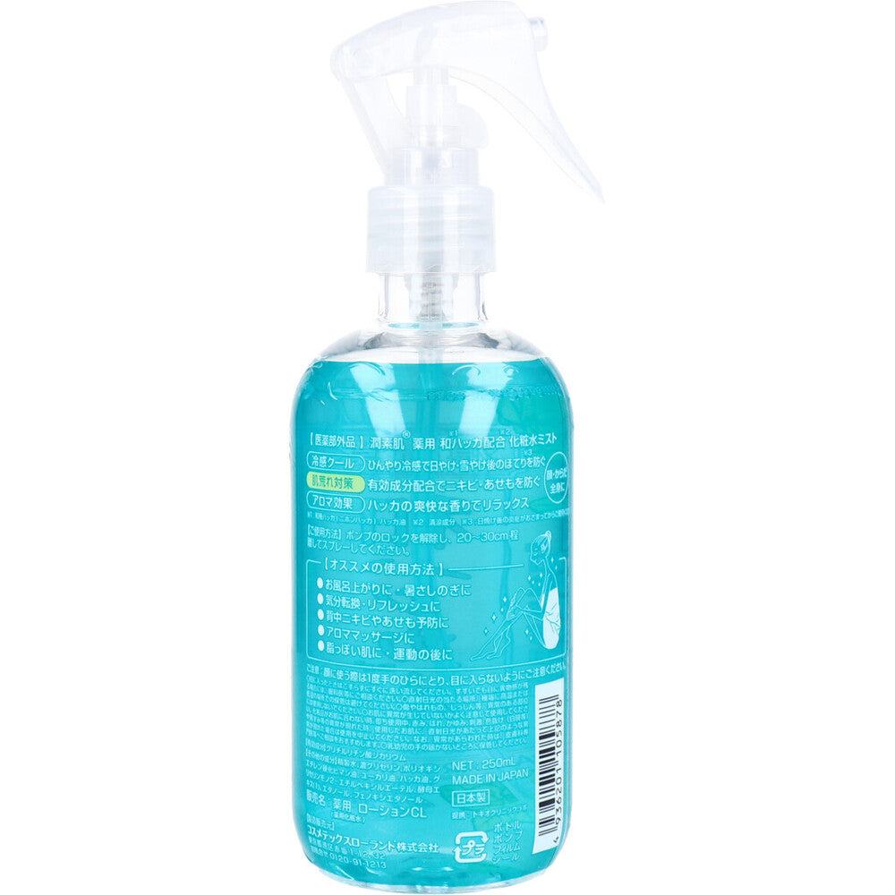 준스하다 약용 일본 박하 쿨링 미스트 250ml