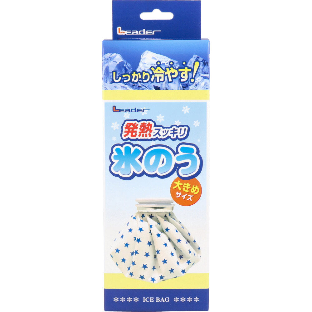 리더 발열 쿨링 얼음주머니 대형 1100ml 대표 이미지