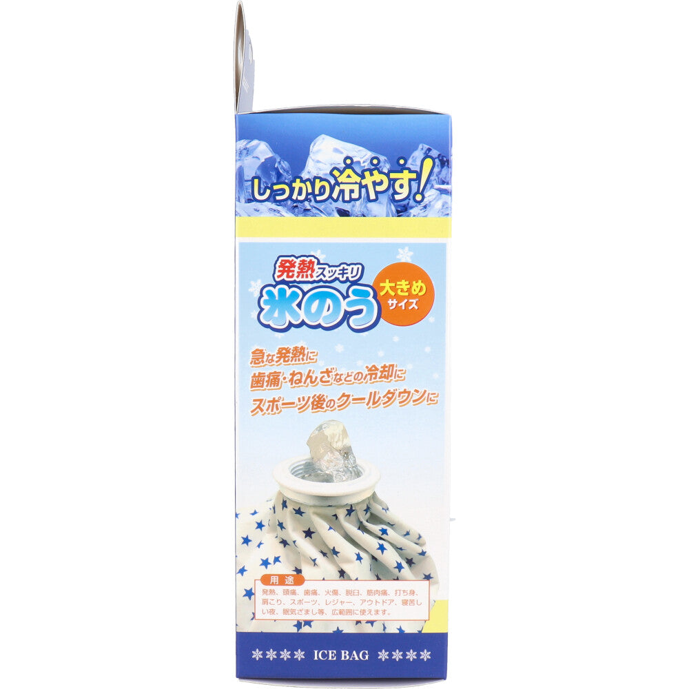 리더 발열 쿨링 얼음주머니 대형 1100ml 상세 이미지 4
