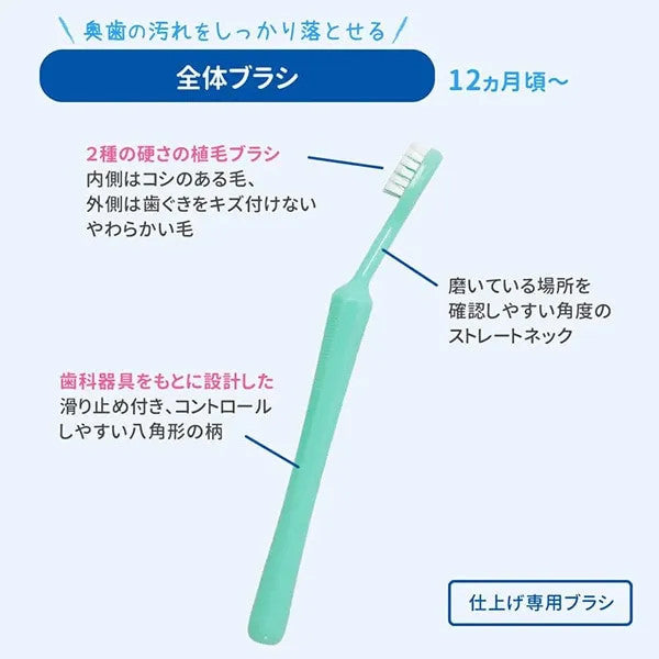 피죤 마무리 전용 전체 칫솔 2개입 12개월~ - 구강케어 - 하카타몰