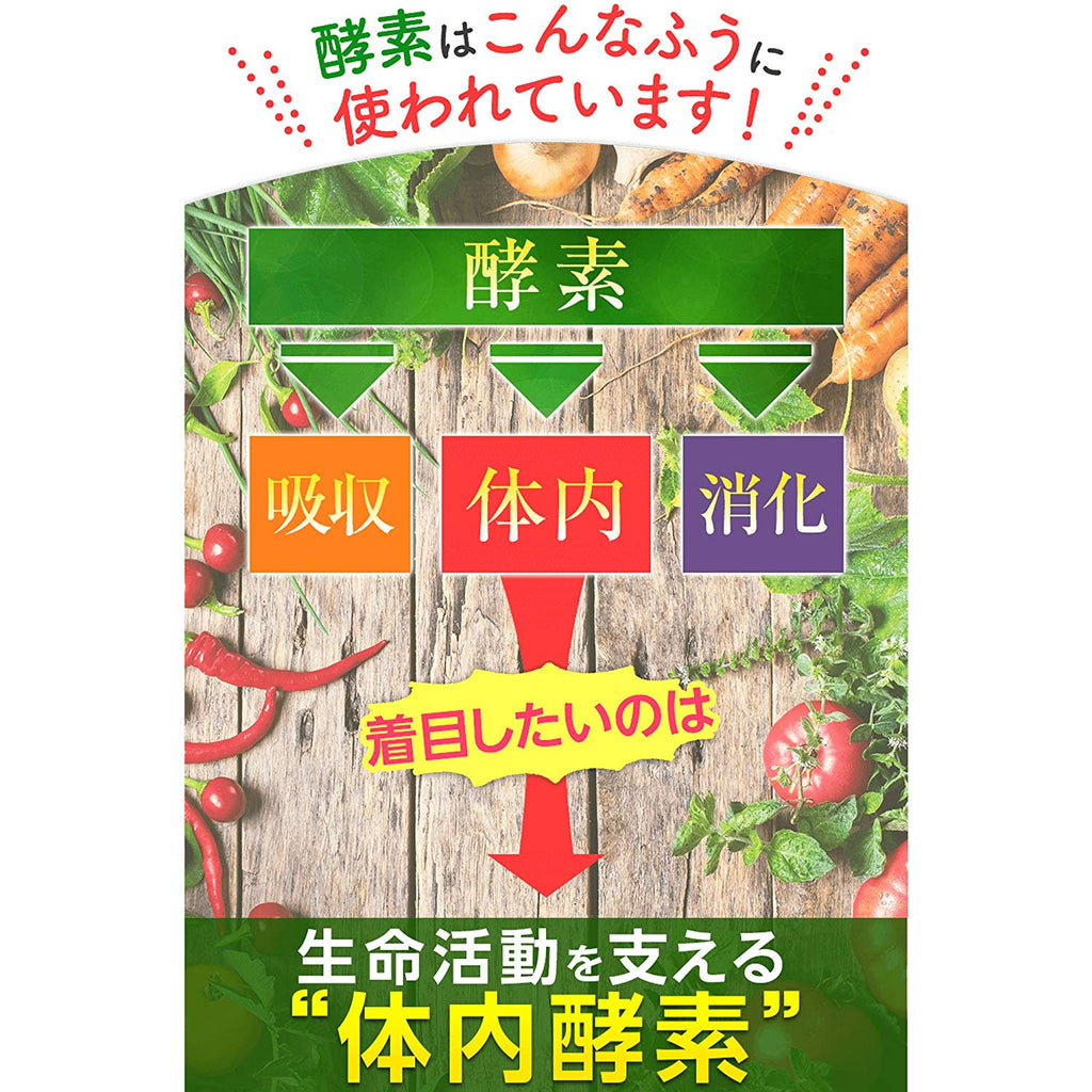 뉴 스루스루 효소 - 하카타몰