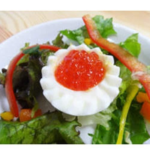계란꽃 코론 KK-265 - 하카타몰