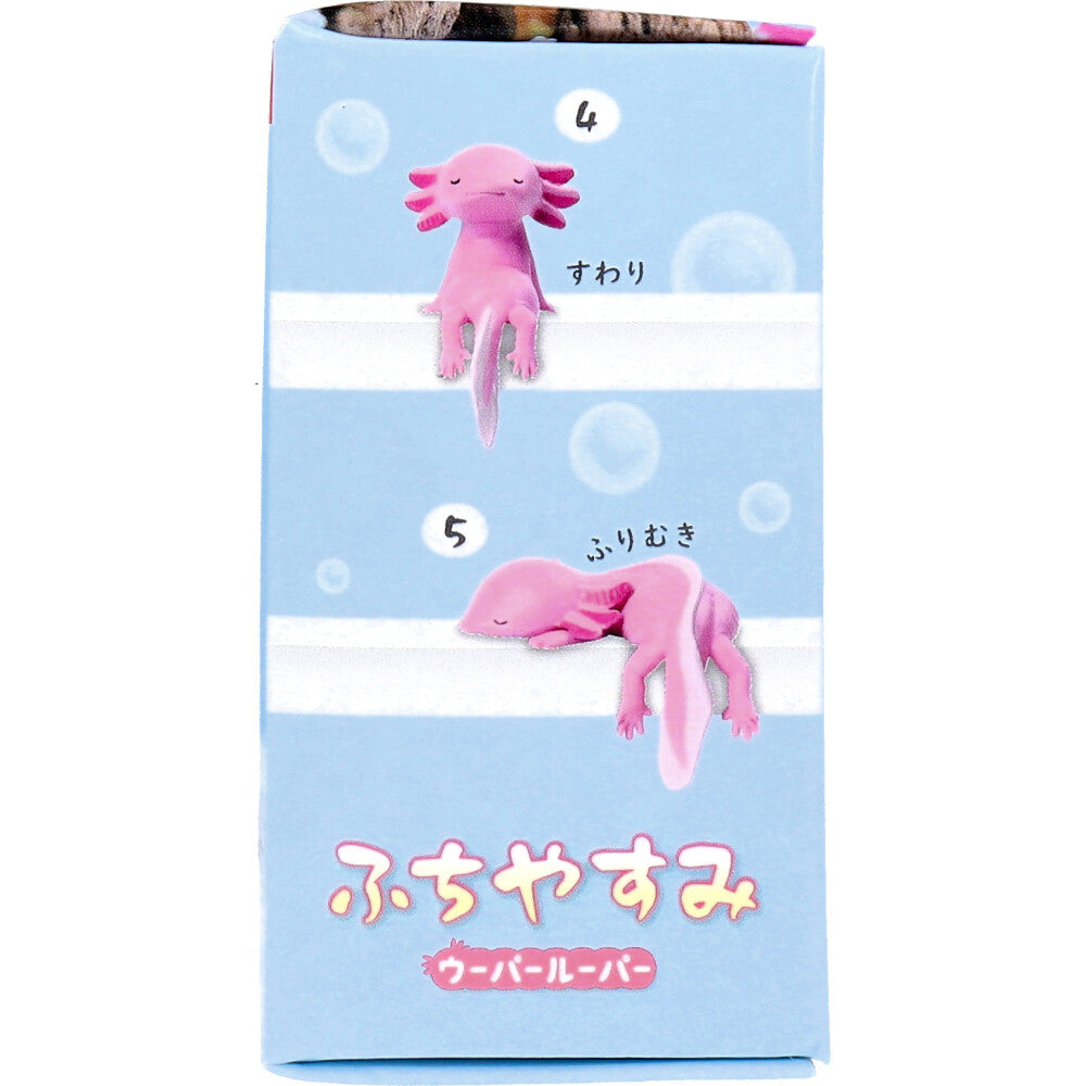 후치야스미 우파루파 피규어 랜덤 1개 상품 사진 4