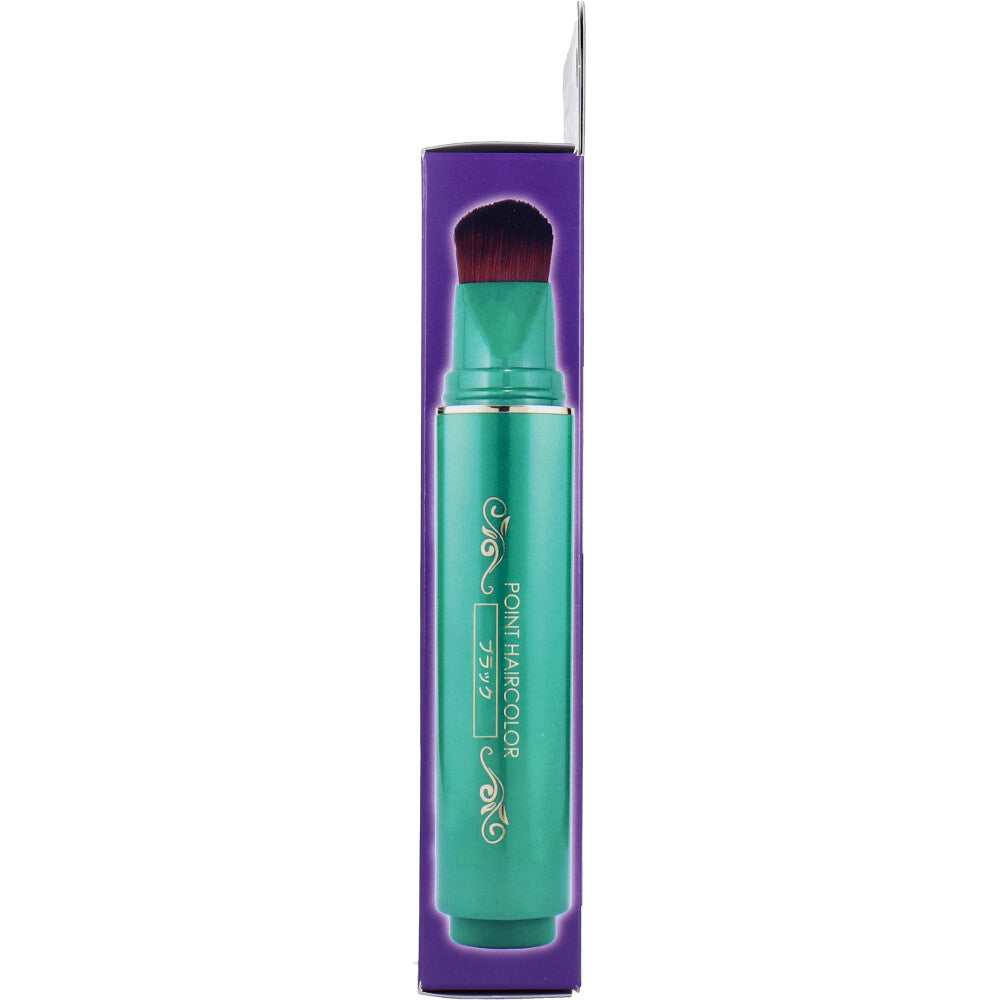 토프란 히다카 새치 커버 펜 블랙 20g 상세 4