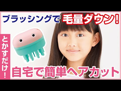 페더 헤어컷 몬스터 간편 셀프 숱정리 브러시 1개 사용 영상
