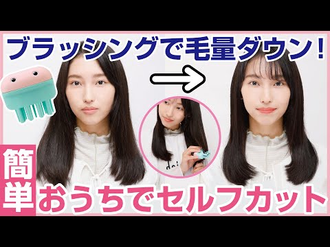 페더 헤어컷 몬스터 간편 셀프 숱정리 브러시 1개 사용 영상