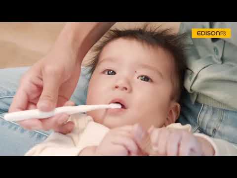 에디슨 유아 마무리 칫솔 2개입 상품 영상